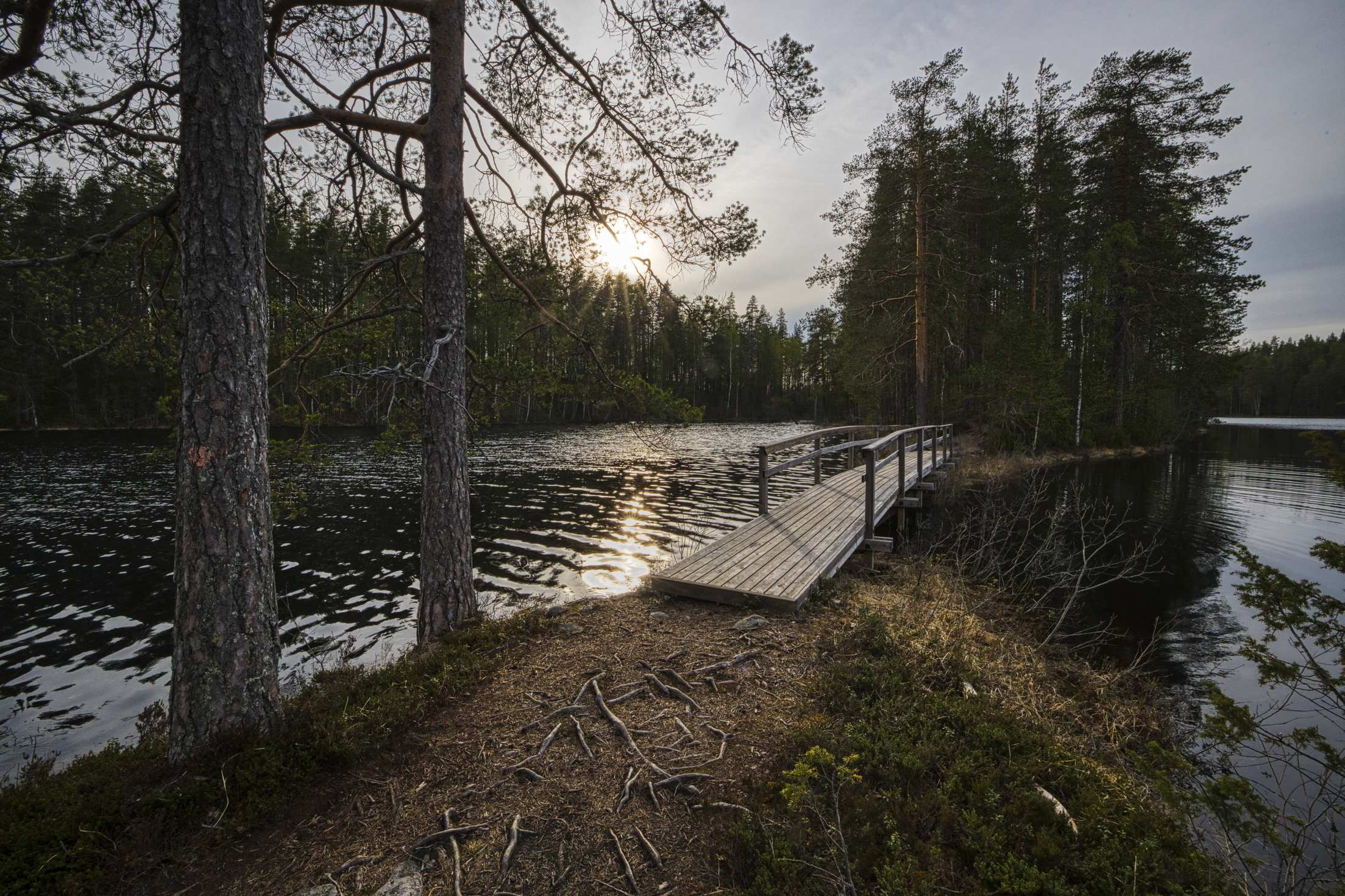 Petkeljärvi